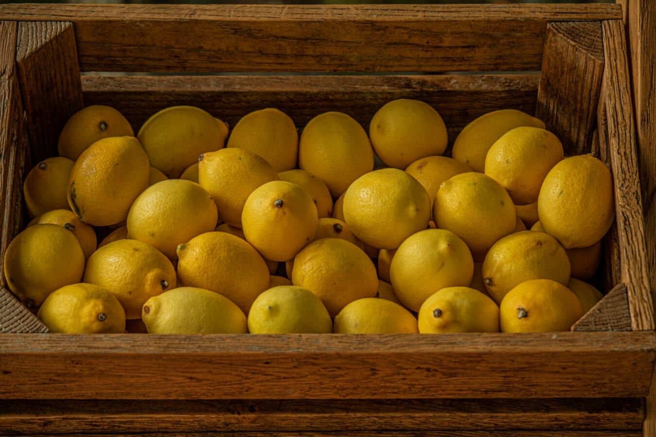 Fresh citrus fruit in export crates