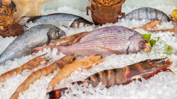 Fresh fish on ice